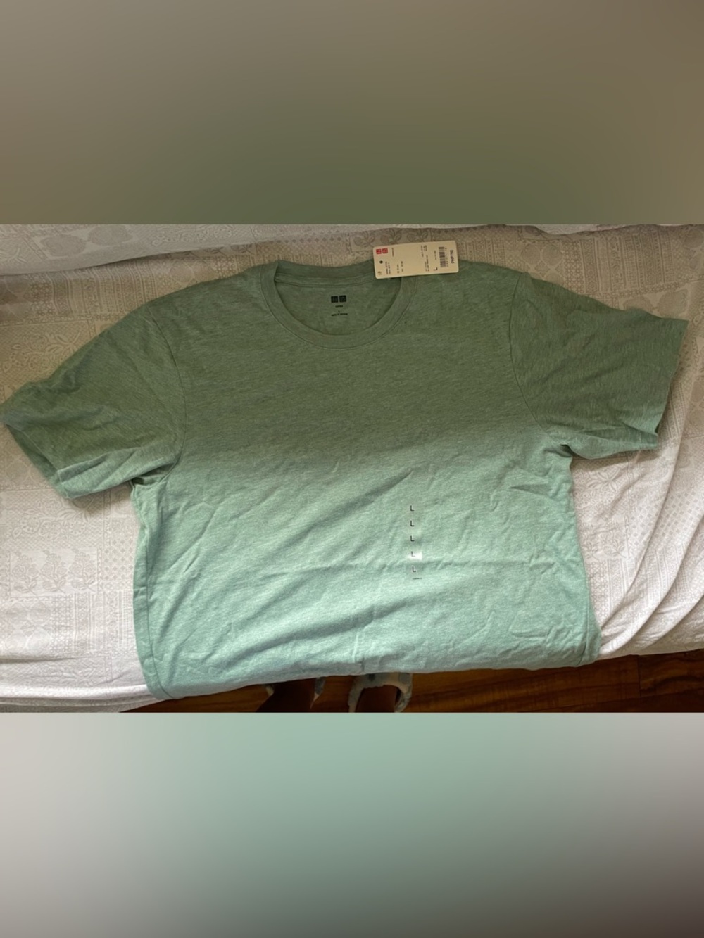 Men's Crew Neck T-Shirt in Mint Green